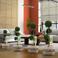 Cône D'Arrosage D'absence : Jusqu'à 60 Cm 50 Cl - XL, Rouge - Pack 3+1 -Boutique Jardin Extérieur 177137 006