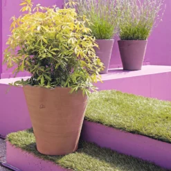 Cuvier Contemporain En Terre Cuite Ø 47 X H. 48cm -Boutique Jardin Extérieur 340892 005