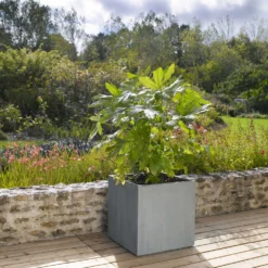 Cube Jin, Gris Ciment L. 50 X L. 50 X H. 50 Cm 7 Cube Jin, Gris Ciment L. 50 X L. 50 X H. 50 Cm -Boutique Jardin Extérieur 418306 005