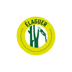 Pack Tronçonneuse Sans Fil + Batterie De Rechange-vert -Boutique Jardin Extérieur 6363b0dbb5b924.38775051