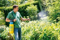 Gloria Pulvérisateur à Pression Avec Pompe électrique Intégrée - 5l -Boutique Jardin Extérieur 63f40d096a09c2.19003319