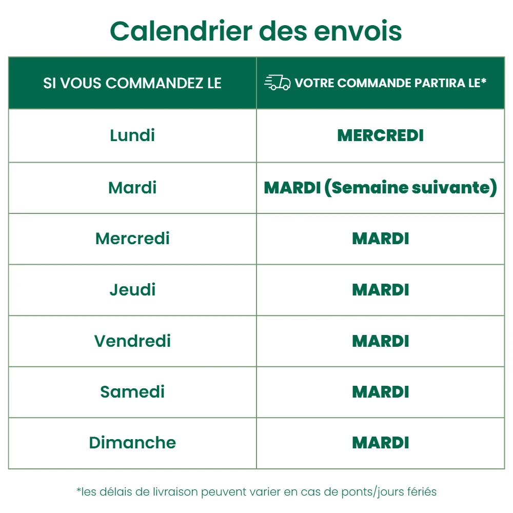 500 Acariens Phytoseiulus 2 500 Acariens Phytoseiulus – Image 2