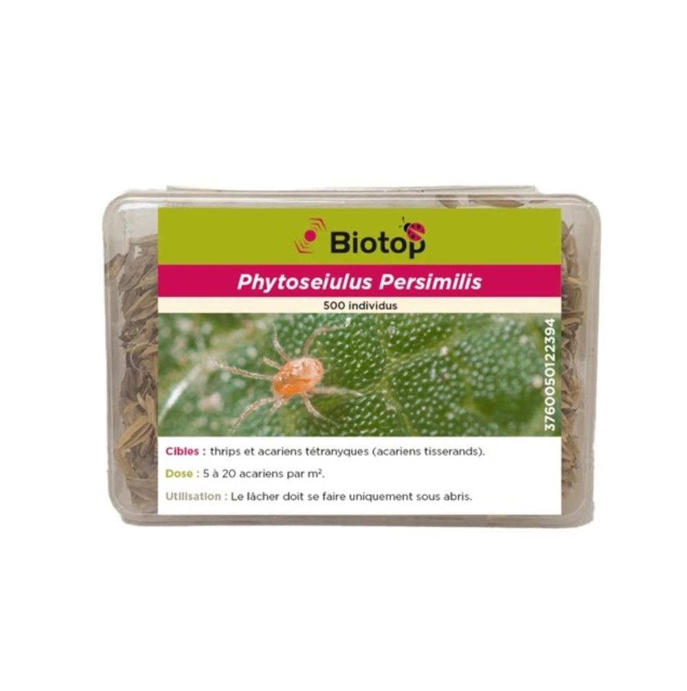500 Acariens Phytoseiulus 1 500 Acariens Phytoseiulus