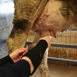 Paire De Manchettes De Protection En Néoprène - Xxl -Boutique Jardin Extérieur 6453a78ebea448.70303060