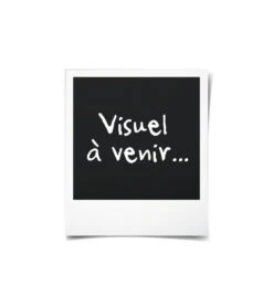 Elho Jardiniere Green Basics 60 - Vivre Noir - Extérieur - Xxl - L 29,5 X W 59,2 X H 27,7 Cm -Boutique Jardin Extérieur 645cf561d06225.50447348