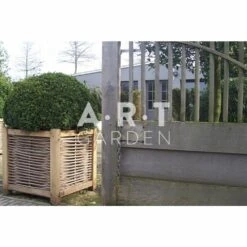Jardinière En Chêne Avec Tressage Noisetier - Avec Bac Intérieur - 60 X 60 X 60 Cm 8 Jardinière En Chêne Avec Tressage Noisetier - Avec Bac Intérieur - 60 X 60 X 60 Cm -Boutique Jardin Extérieur 64651e91e89608.28364745