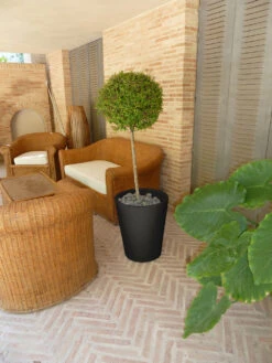 Pot De Fleurs Gerbera ø50x59,5cm - Anthracite 5 Pot De Fleurs Gerbera ø50x59,5cm - Anthracite -Boutique Jardin Extérieur 6478c7f4b074b2.90633905