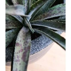 Pot à Fleurs Waste Smooth 43x41 Cm Gris -Boutique Jardin Extérieur 6479896195b644.79787079