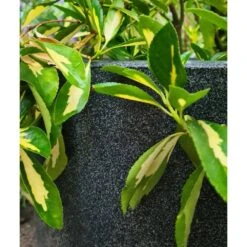 Pot à Fleurs Waste Smooth 43x41 Cm Gris -Boutique Jardin Extérieur 647989619db2d1.88941631