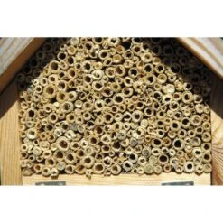 Hôtel à Insectes Naturel, Rouge Et Vert 9 Hôtel à Insectes Naturel, Rouge Et Vert -Boutique Jardin Extérieur 6483189eeab926.46327980