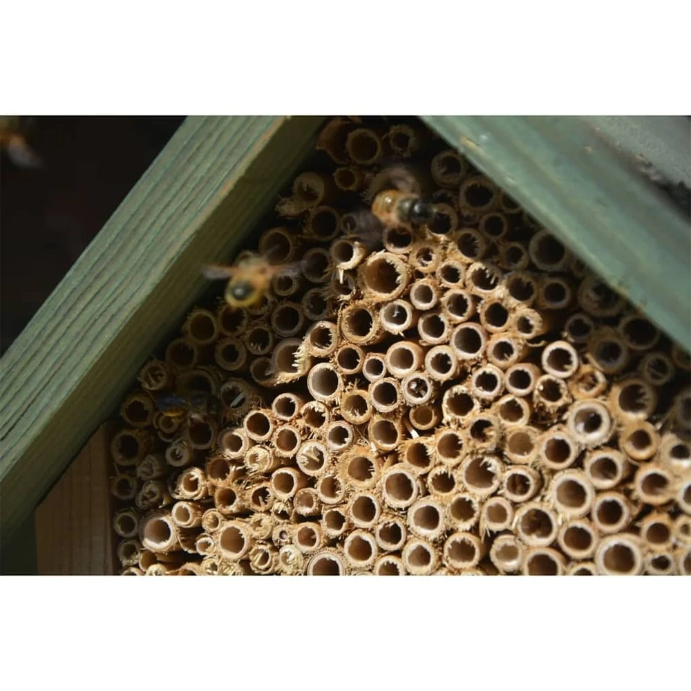 Hôtel à Insectes Naturel, Rouge Et Vert 6 Hôtel à Insectes Naturel, Rouge Et Vert – Image 6