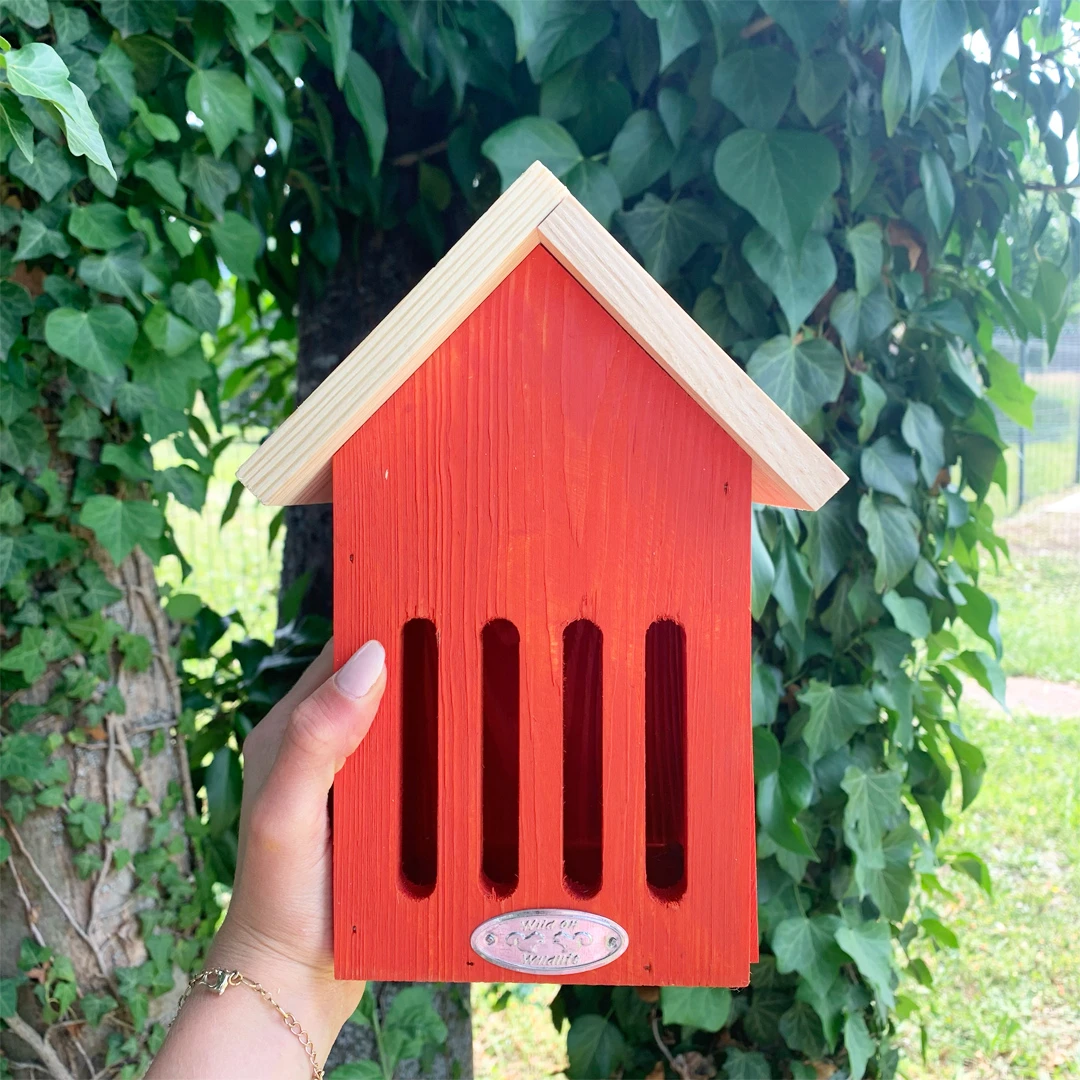 Hôtel à Papillons - Coloris Aléatoire 2 Hôtel à Papillons - Coloris Aléatoire – Image 2