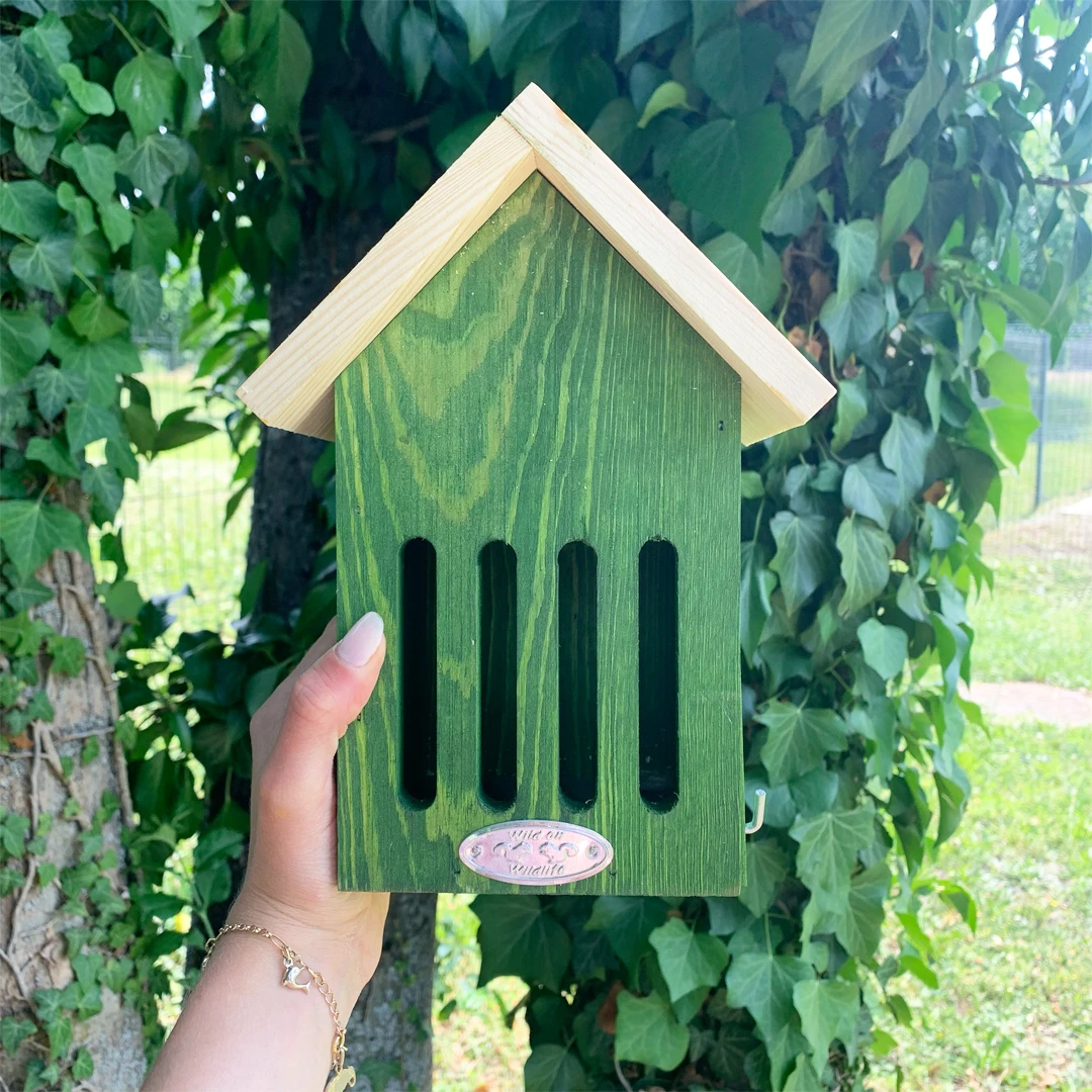 Hôtel à Papillons - Coloris Aléatoire 5 Hôtel à Papillons - Coloris Aléatoire – Image 5